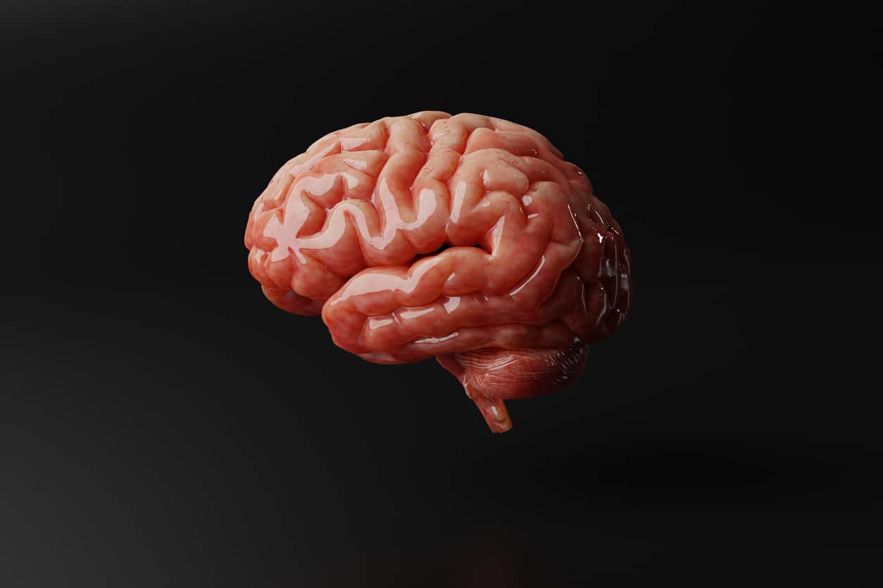 Entre système nerveux central et dure-mère