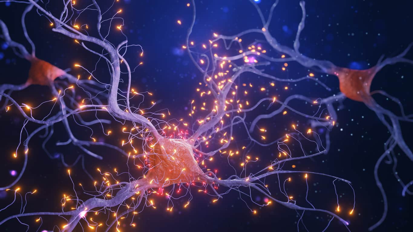 La ferroptose dans les troubles neurologiques