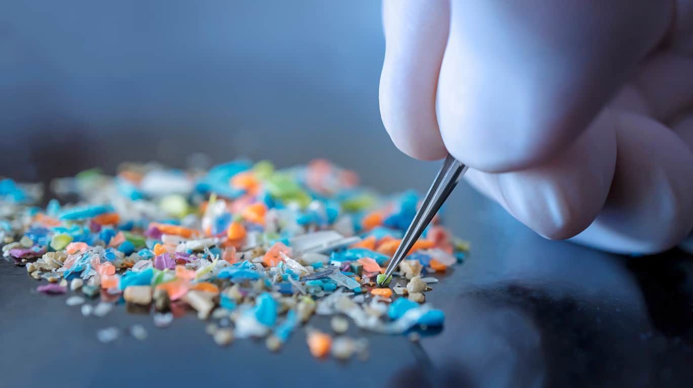 Microplastiques et risque cardiovasculaire