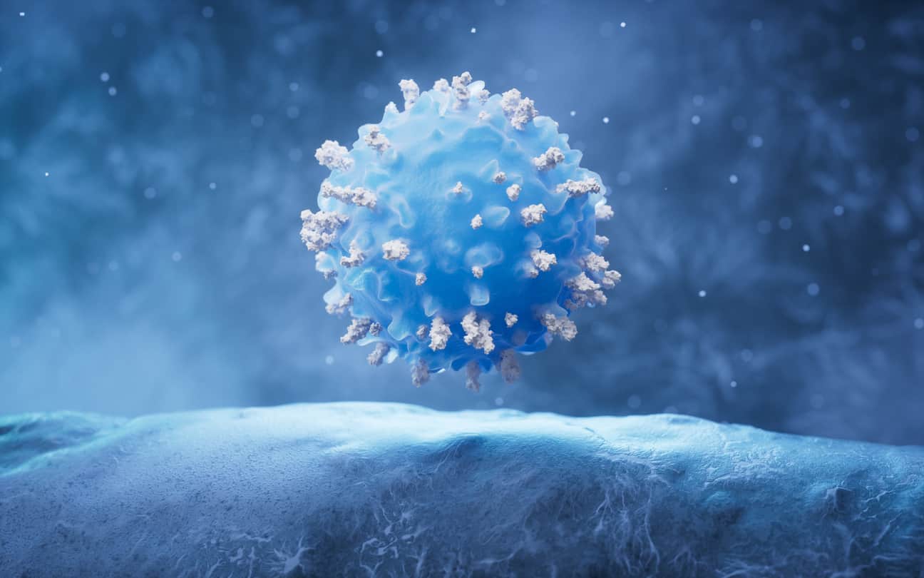 TIGIT : Frein ou Tremplin Contre le Cancer ?