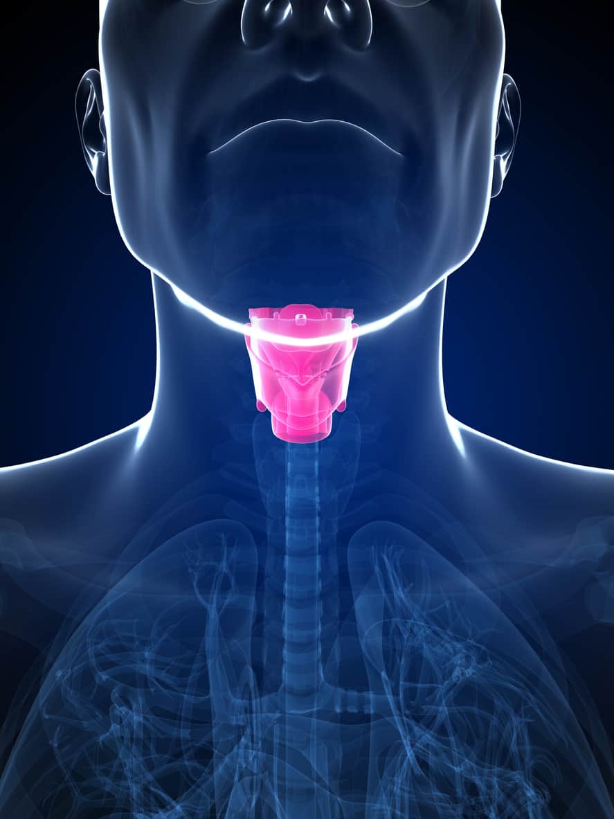 Un collier anti fausse route