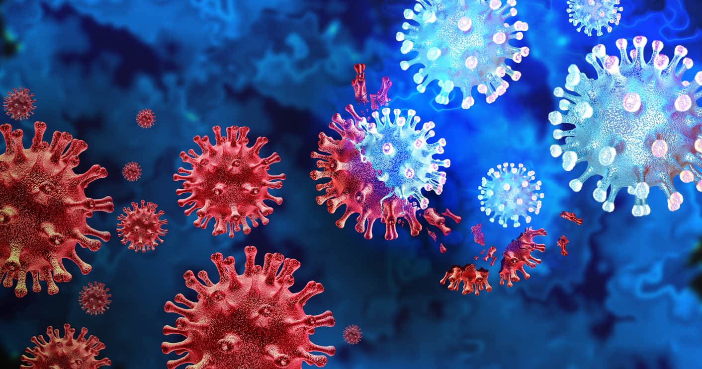 Un nouvel anticorps contre le SARS-CoV2