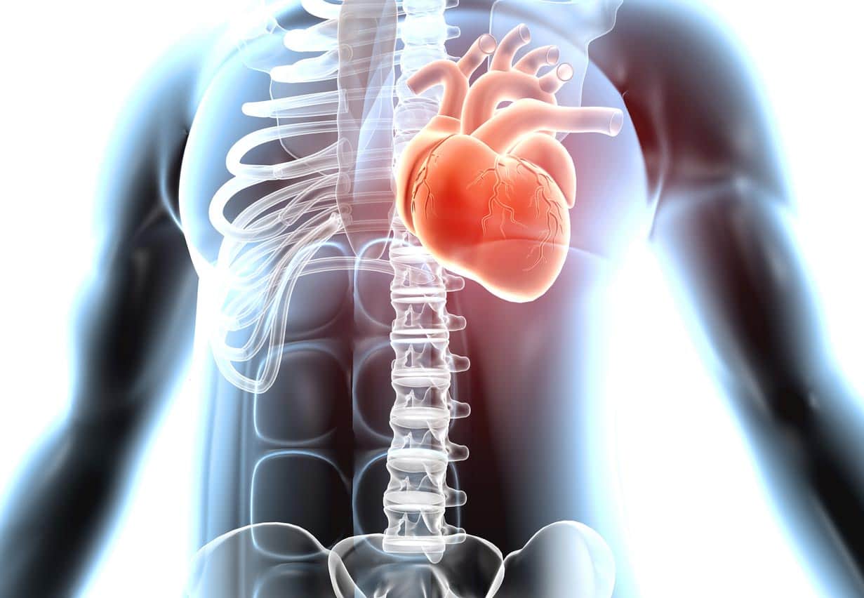 Une atteinte cardiaque des patients COVID-19