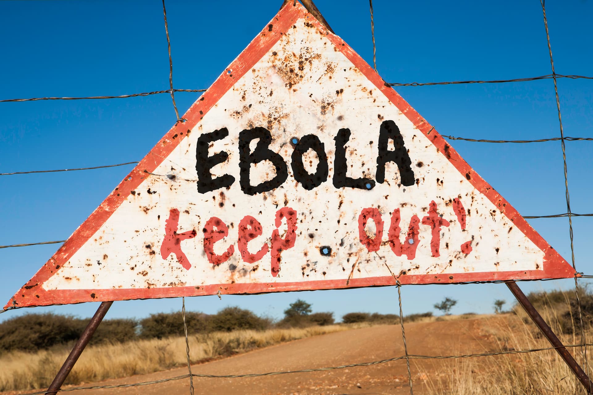 Ebola : la voie de contamination influence-t-elle la gravité de la maladie ?