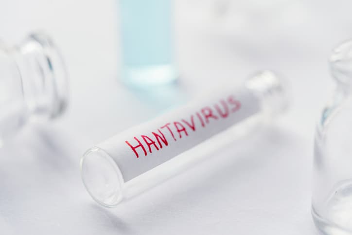 Hantavirus : comment le virus détourne la cellule ?