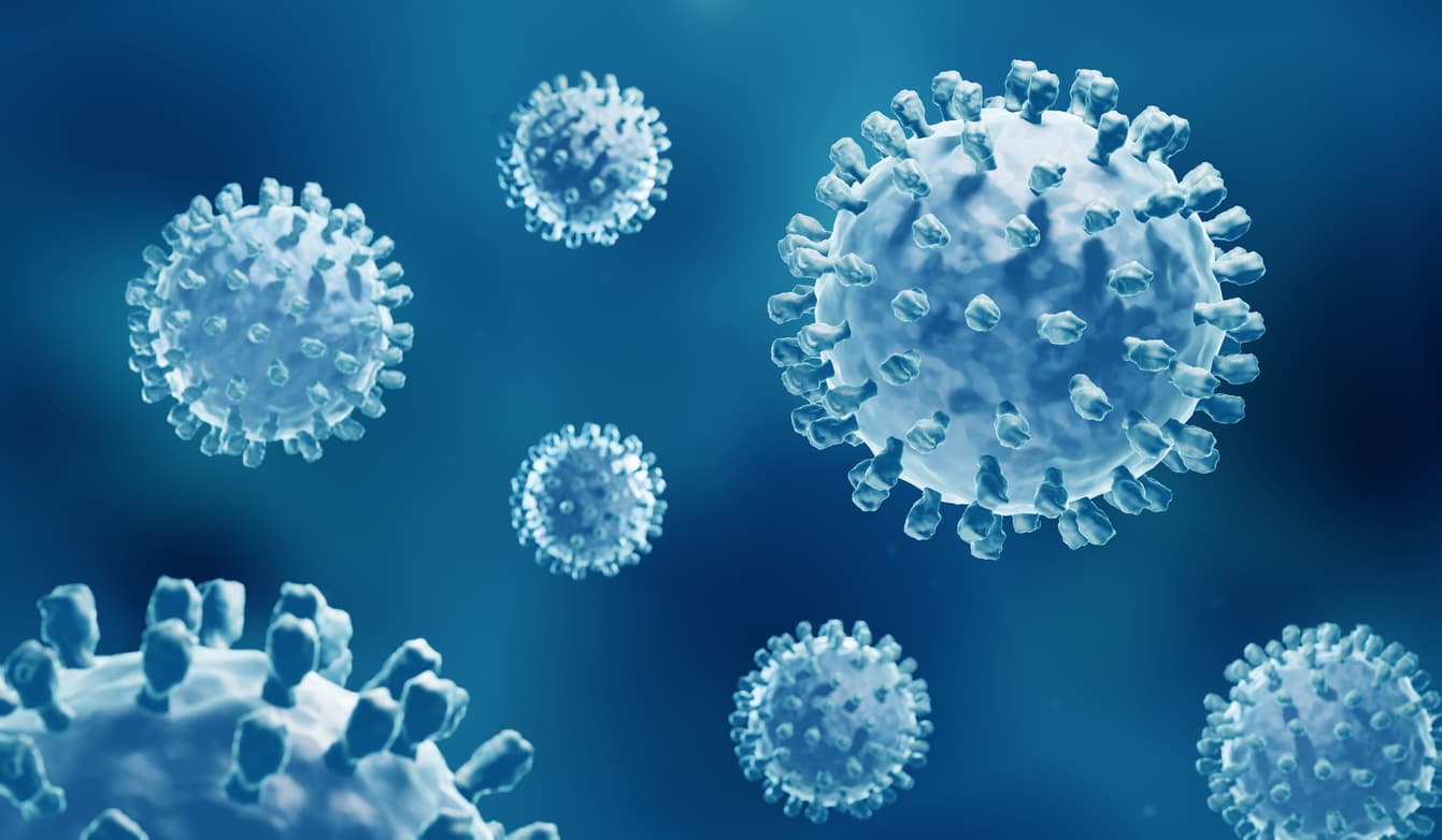 HBsAg et immunité : un frein ou un allié contre l’hépatite B ?