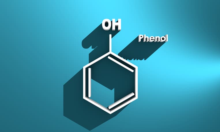 L’impact de sept phénols, reconnus comme perturbateurs endocriniens, sur la fécondité et le risque de fausse couche précoce.