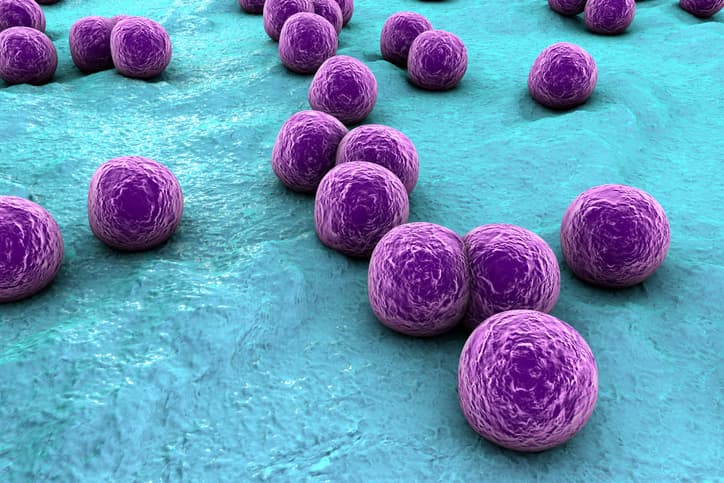 L’importance du biais temporel immortel pour évaluer l’impact du PET-CT au 18F-FDG sur la mortalité des patients atteints de bactériémie à Staphylococcus aureus.