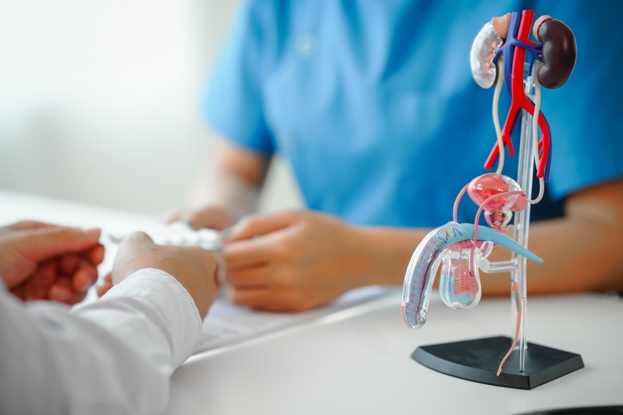 Radium-223 : le duo gagnant avec l’enzalutamide ?