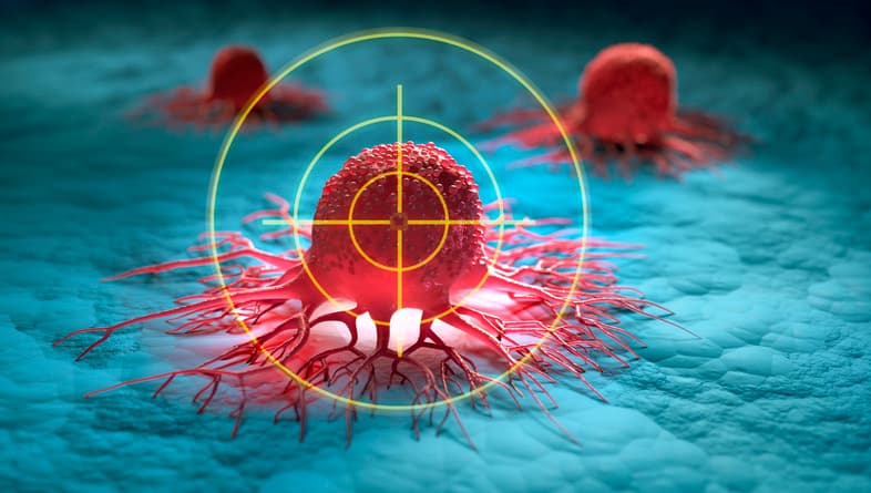 Une découverte élargit le rôle des gènes BRCA à de nouveaux cancers