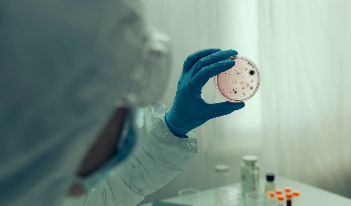 Virus & Fertilité : Quand la barrière cède-t-elle ?