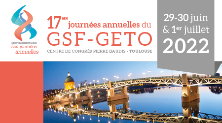 17ème journées annuelle GSF-GETO