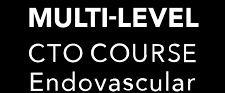 1er cours CTO multi-niveaux Endovasculaire