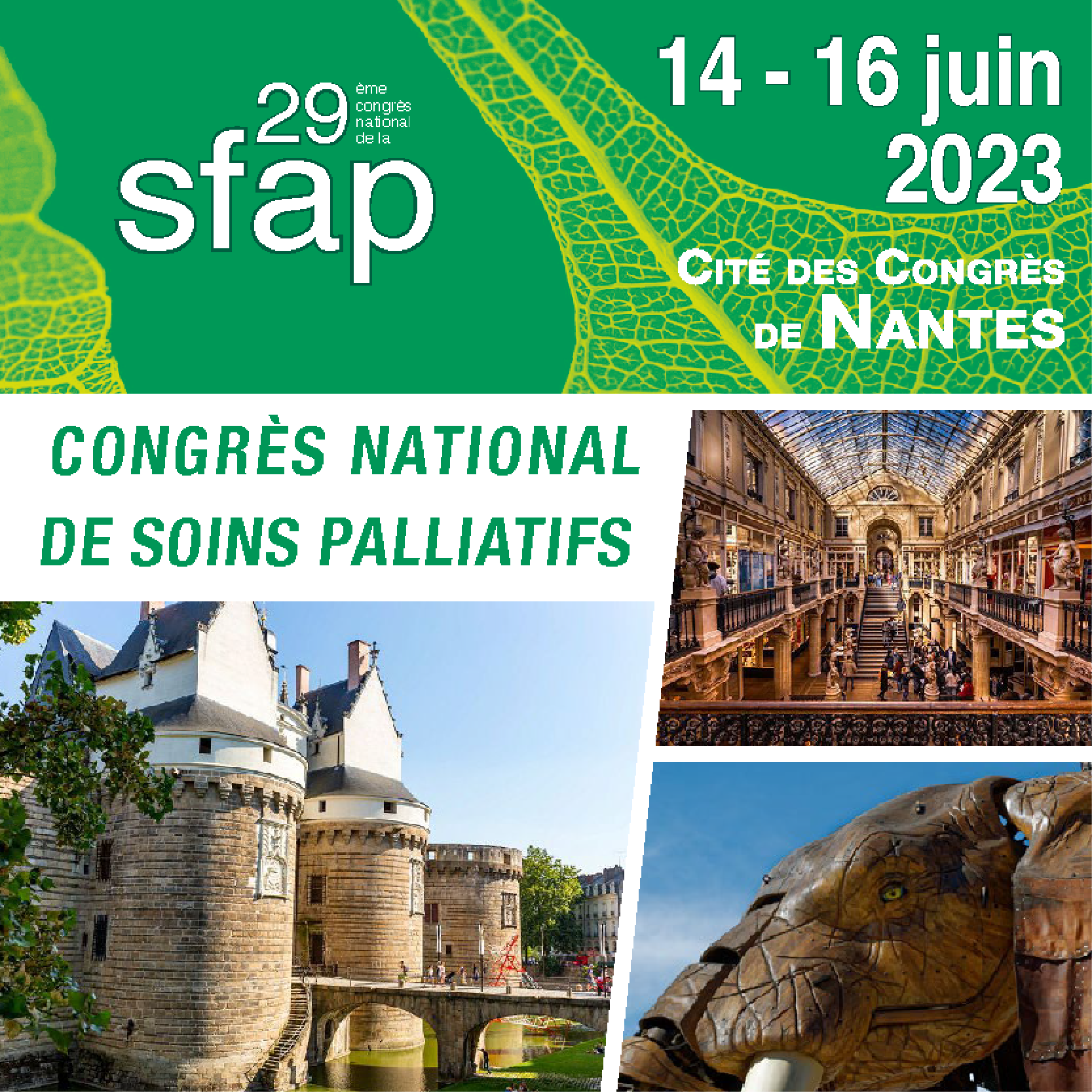 29e Congrès de Société Française d’Accompagnement et de soins Palliatifs - SFAP 2023