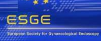 29th Annual Conference of The European Society for Gynecological Edoscopy ESGE 2020