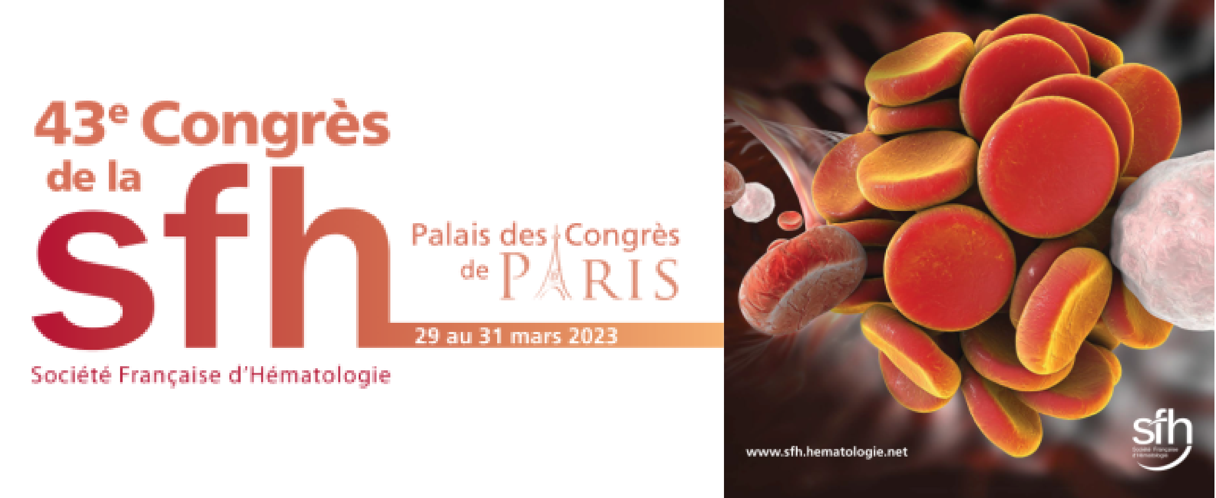 43e congrès annuel de la Société Française d’Hématologie - SFH 2023