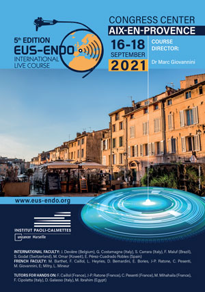 5th Edition e-EUS-ENDO 2021