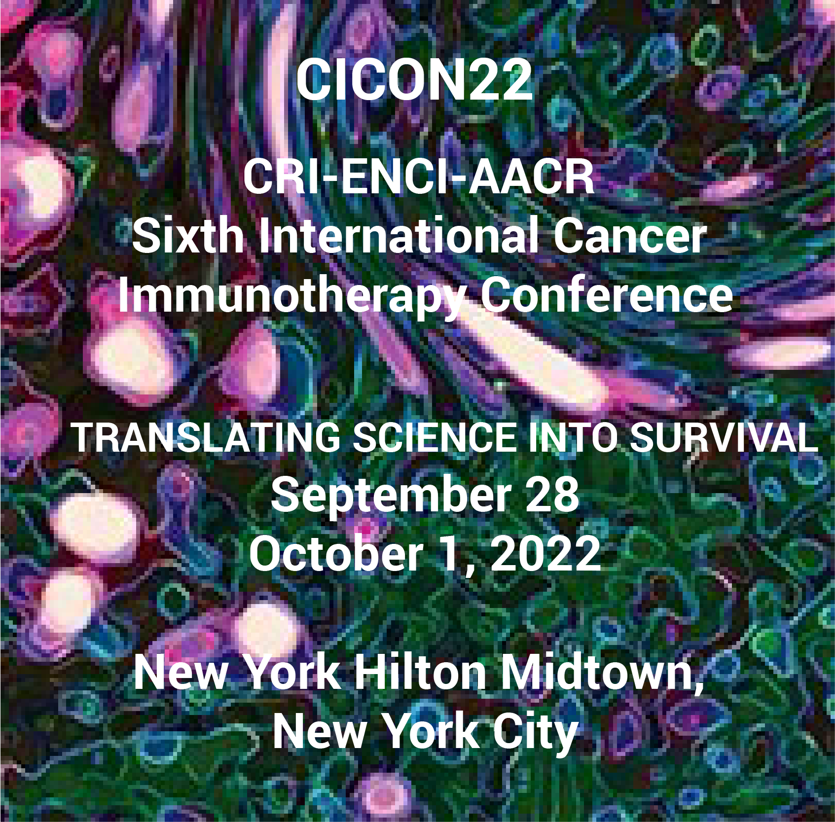 6th International Cancer Immunotherapy Conference CICON 2022