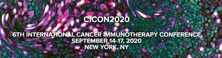 6th International Cancer Immunotherapy Conference CICON 2022