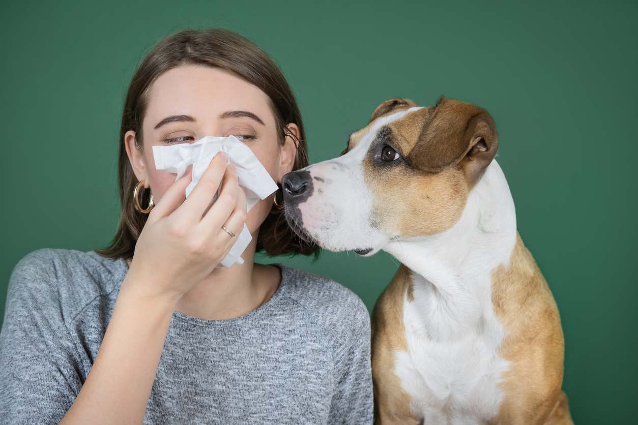 Animal allergies: what if your diagnosis is wrong?