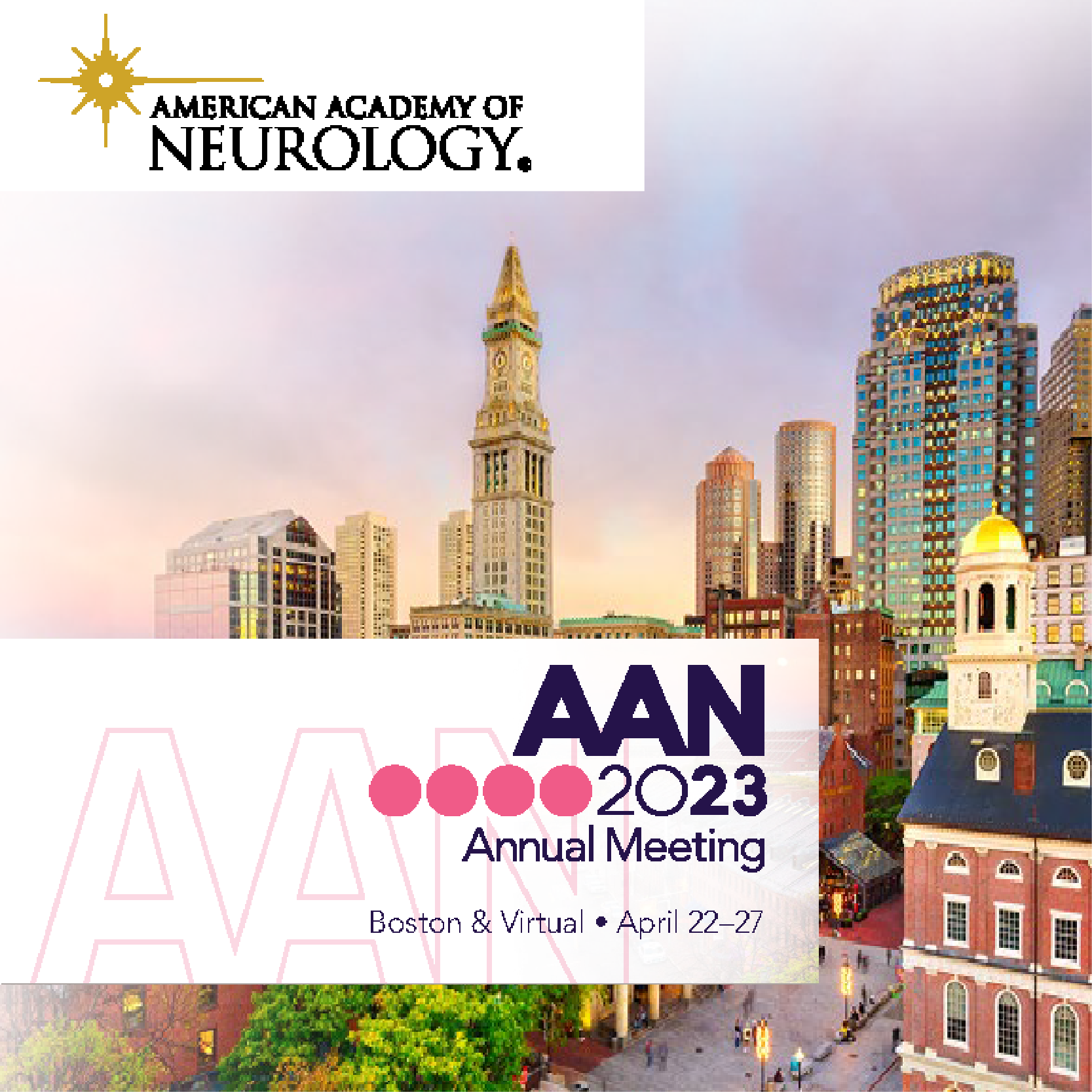 American Academy of Neurology Annual Meeting - AAN 2023