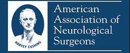 American Association of Neurological Surgeons Annual Scientific Meeting AANS 2020