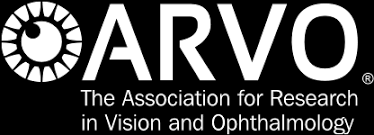 ARVO ANNUAL MEETING 2022