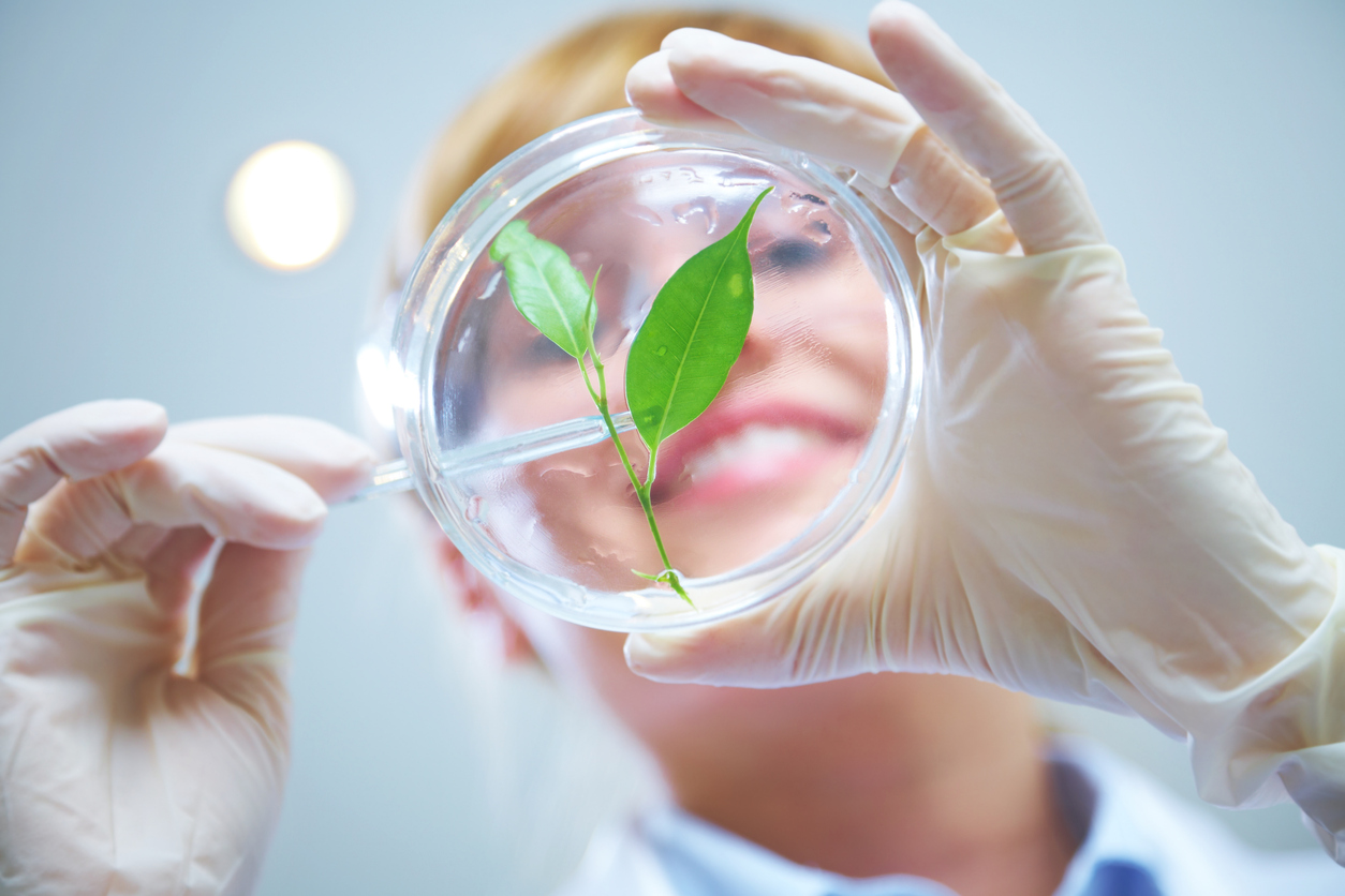 Cancer du sein métastatique : les plantes peuvent-elles changer la donne ? Cancer du sein métastatique : les plantes peuvent-elles changer la donne ?