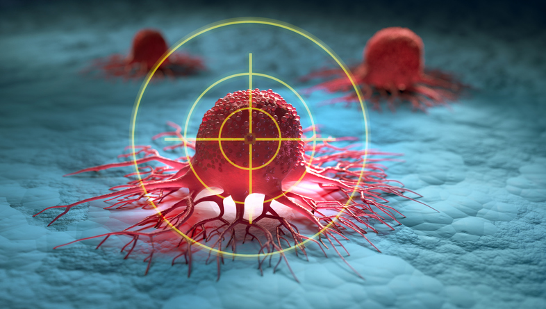 Cancer : exploiter la faille des cellules « zombies » pour mieux traiter les tumeurs