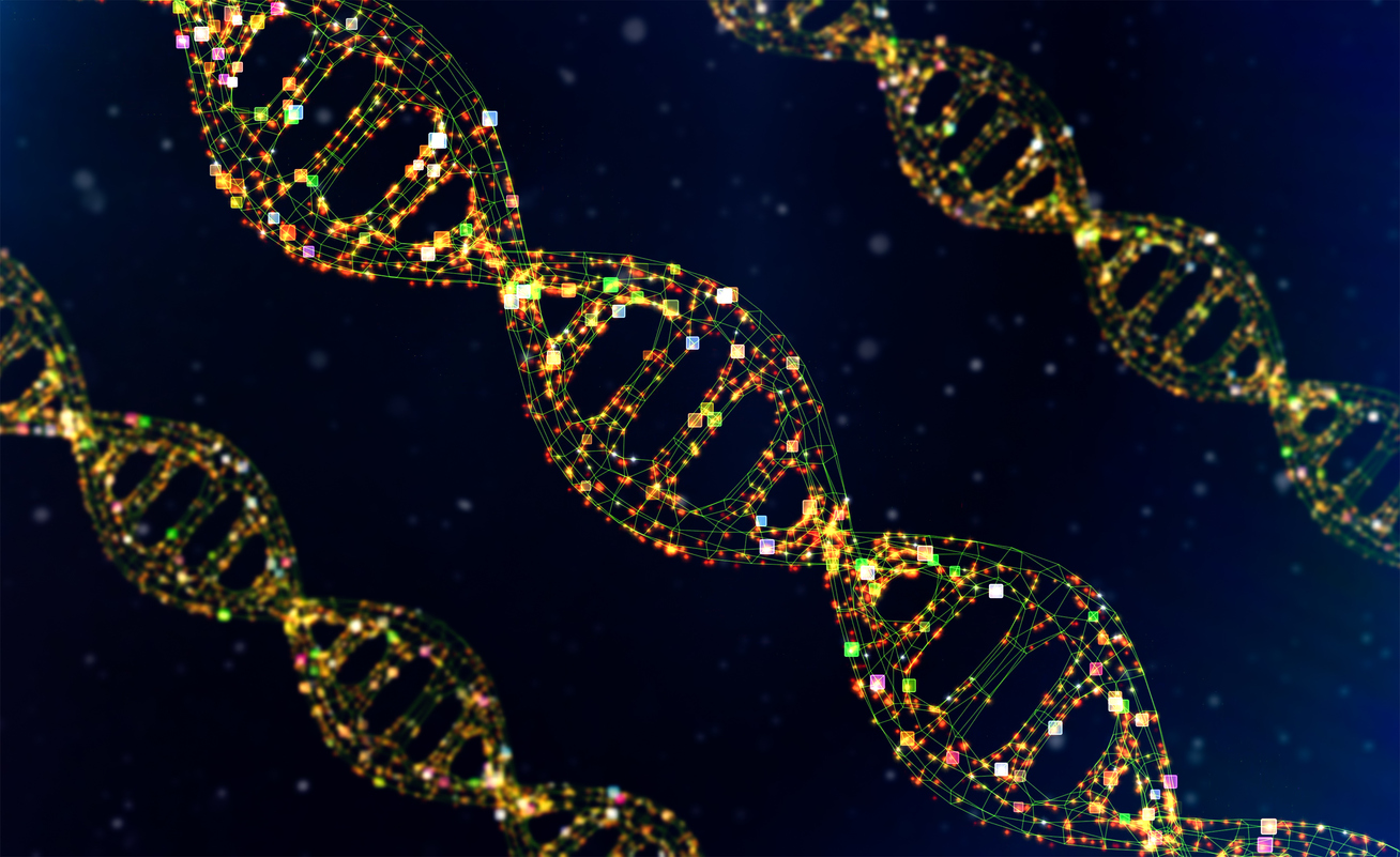 How our cells neutralize toxic RNAs