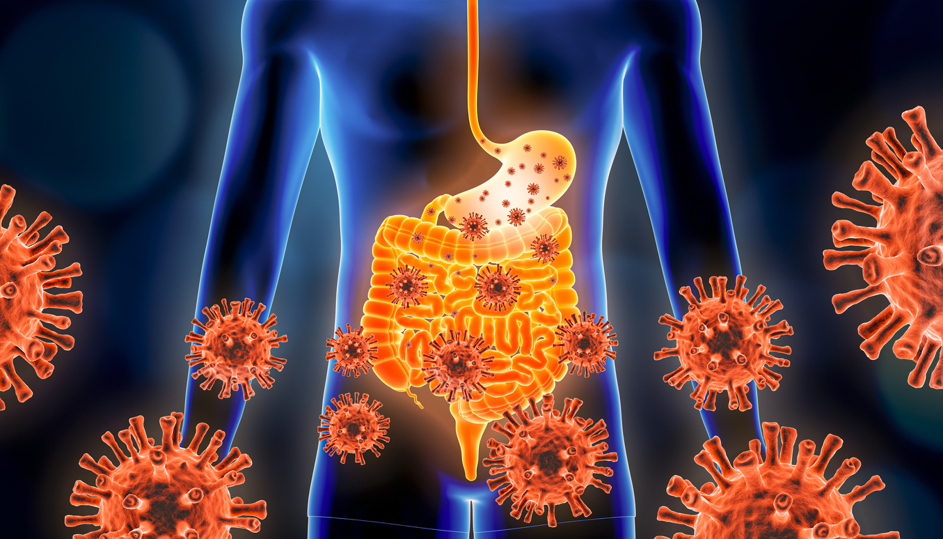 Viruses in our gut, a threat to the heart? Viruses in our gut, a threat to the heart?