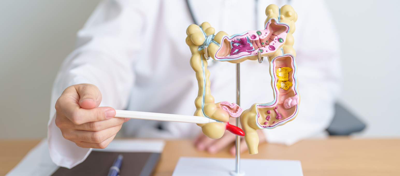 Dialogue intestin–microbiote : le rôle inattendu des cellules épithéliales