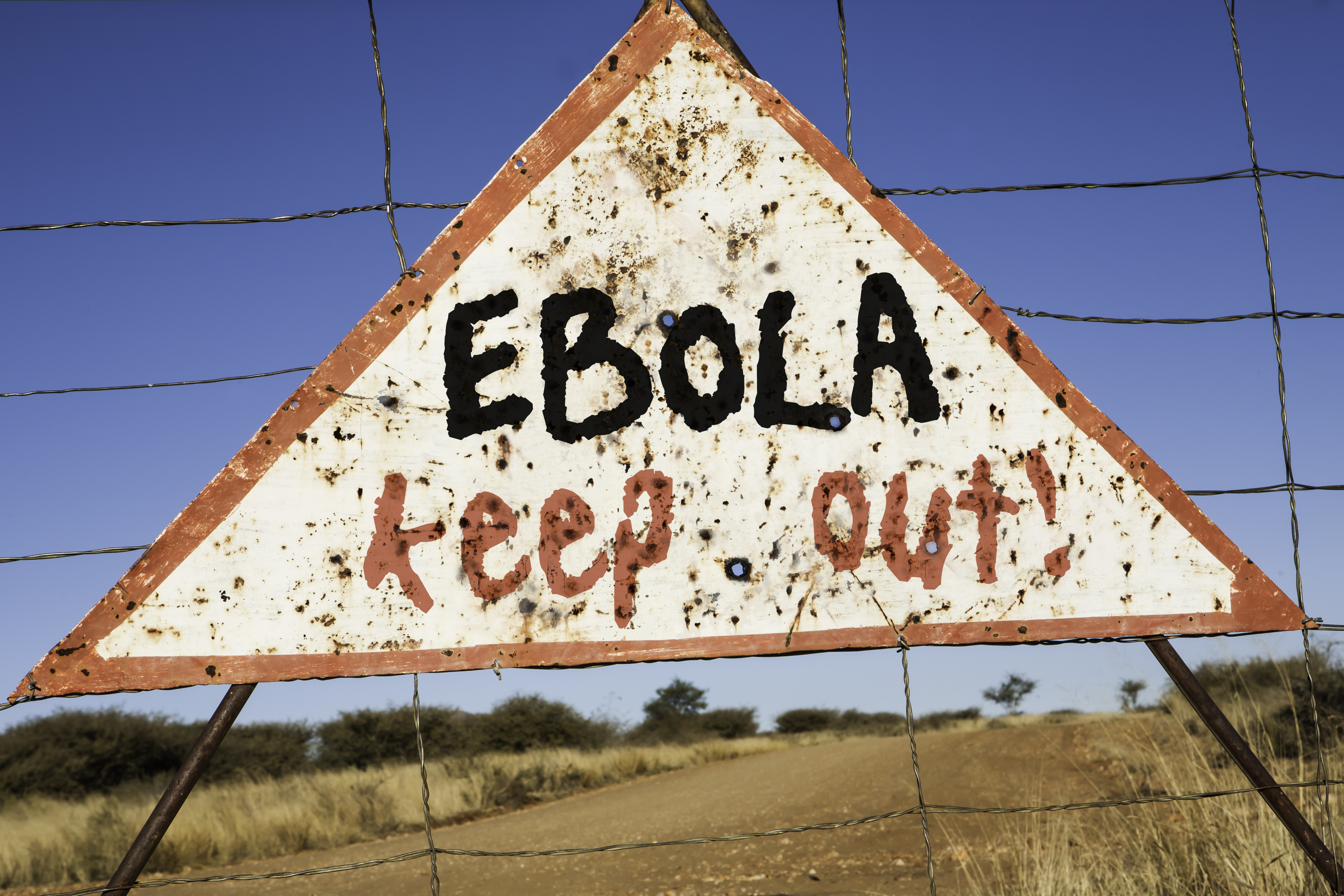 Ebola: Does the Route of Infection Influence Disease Severity?