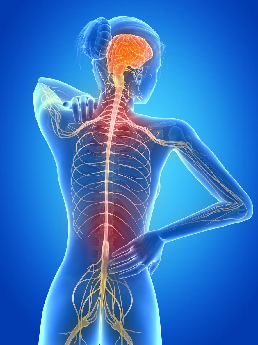 Efficacité et tolérance de deux doses de fingolimod dans la sclérose en plaques récurrente-rémittente Efficacité et tolérance de deux doses de fingolimod dans la sclérose en plaques récurrente-rémittente