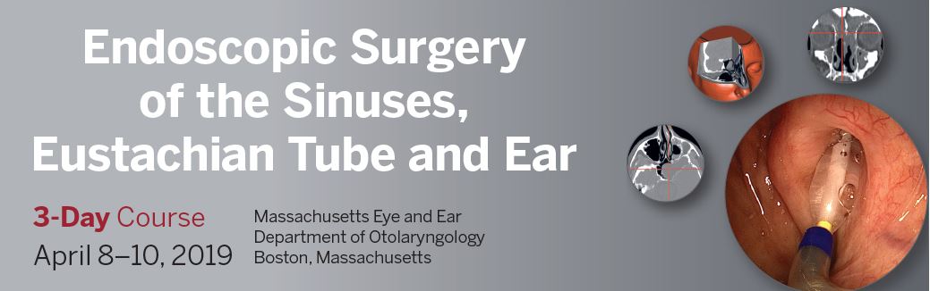 Endoscopic Surgery of the Sinuses, Eustachian Tube, and Ear 2019