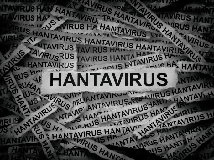 Hantavirus des Andes : le prochain virus à surveiller de près ?