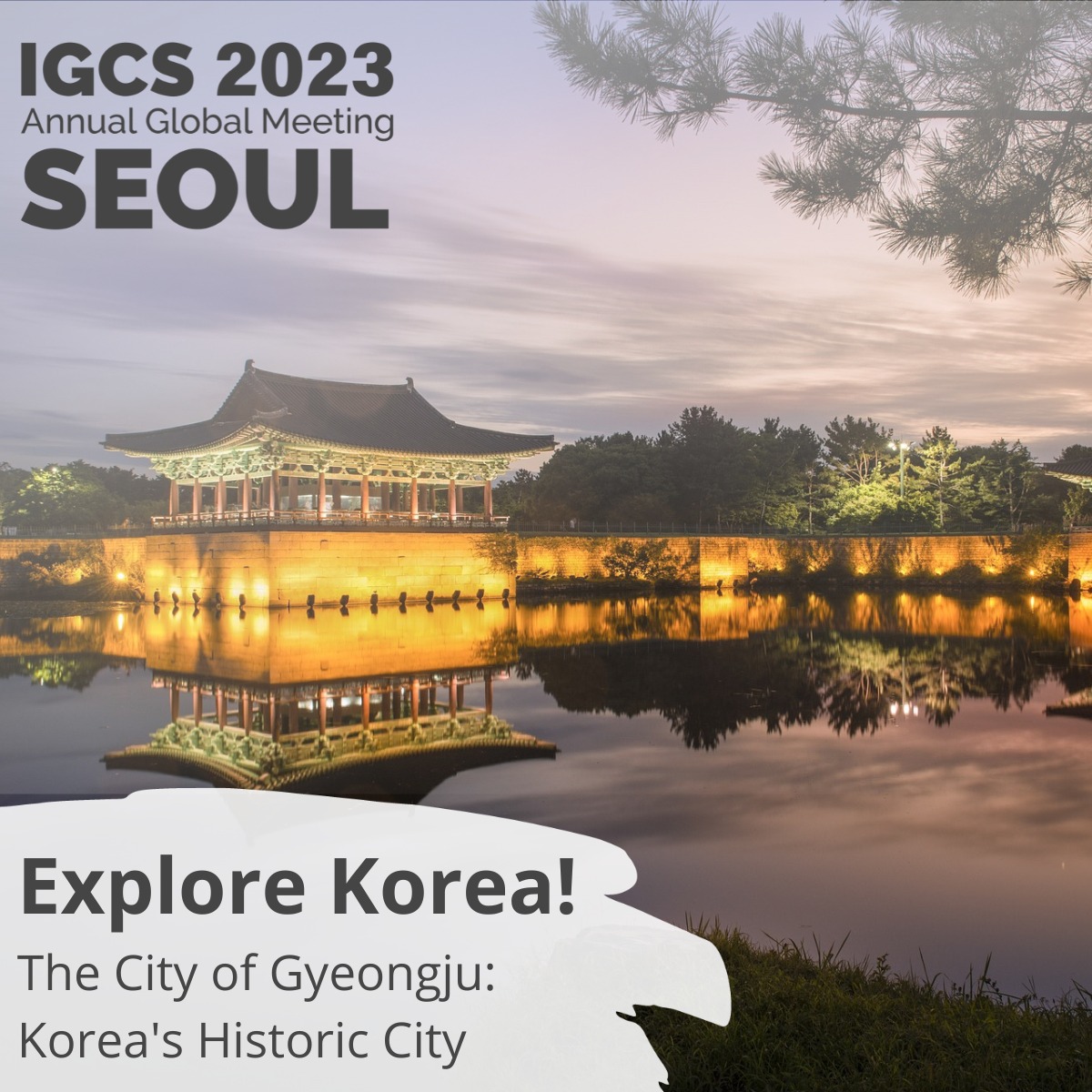 IGCS 2023 Annual Globa Meeting