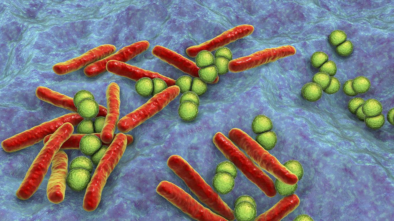 Infections à bactéries Gram négatif consécutives aux shunts du liquide céphalorachidien Infections à bactéries Gram négatif consécutives aux shunts du liquide céphalorachidien