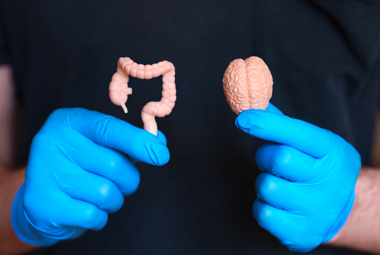 Gut vs. brain: who’s really in charge? Gut vs. brain: who’s really in charge?