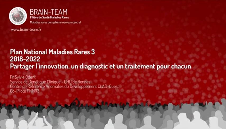 Journée BRAIN-TEAM 2019