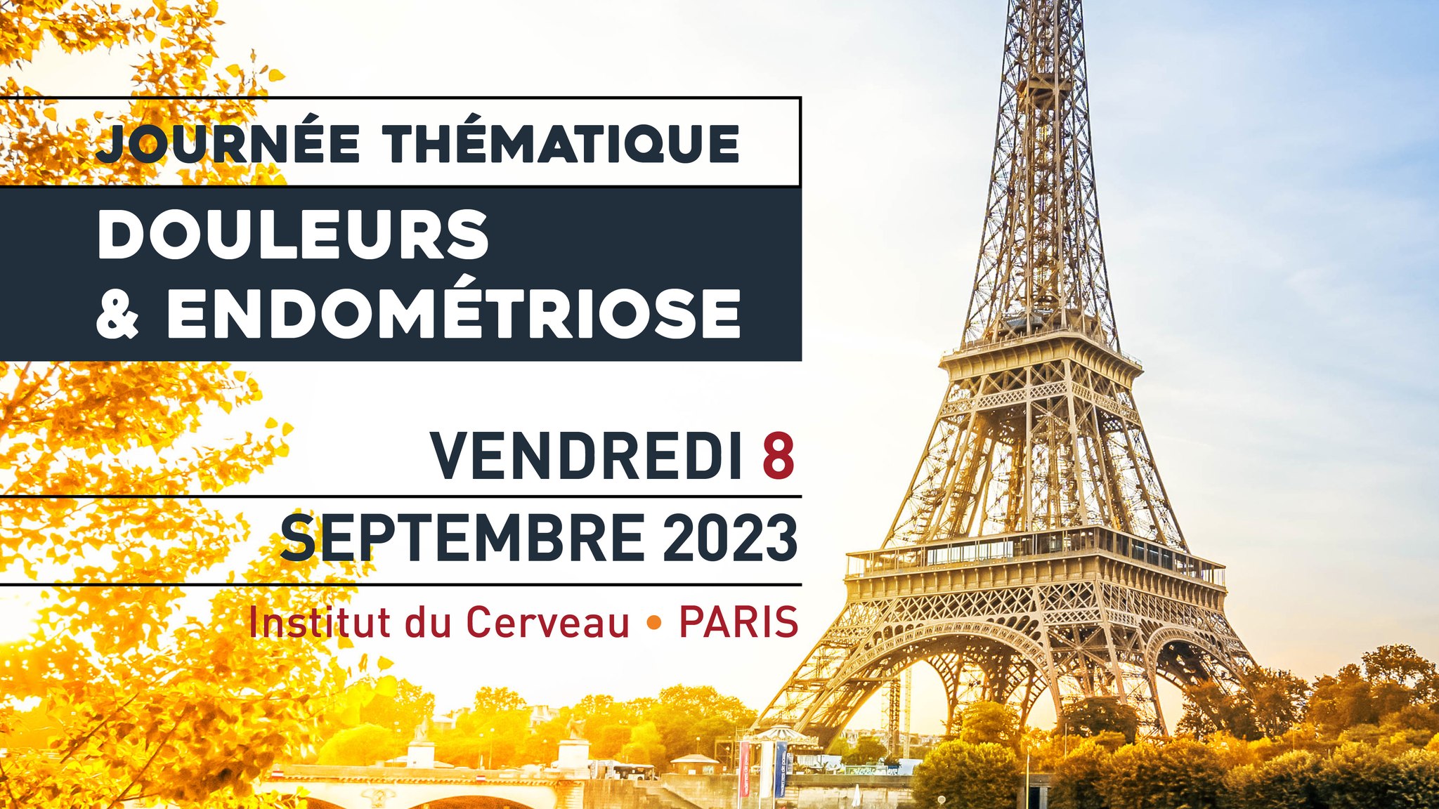 Journée Thématique Douleurs et Endométriose 2023 - Convergences PP et SFETD