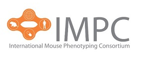 Knockout Mouse Phenotyping Program and International Mouse Phenotyping Consortium's annual meeting KOMP2-IMPC 2019
