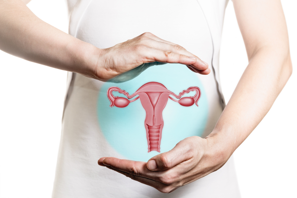 La ferroptose dans les troubles de la reproduction féminine La ferroptose dans les troubles de la reproduction féminine