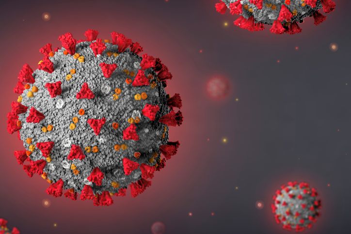 La protéine S du SARS-CoV2 capable d’induire la déformation des plaquettes sanguines. La protéine S du SARS-CoV2 capable d’induire la déformation des plaquettes sanguines.