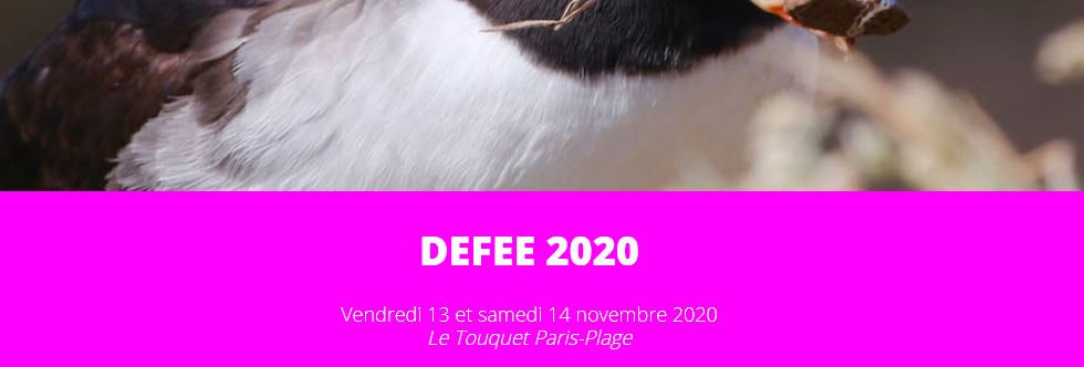 Le congrès DEFEE 2020