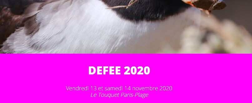 Le congrès DEFEE 2020