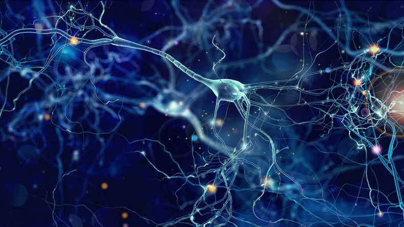 Le poids du métabolisme axonal dans les maladies neurodégénératives Le poids du métabolisme axonal dans les maladies neurodégénératives