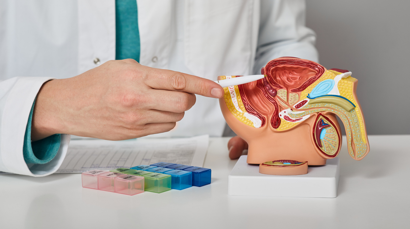 The gastrin-releasing peptide receptor in prostate cancer The gastrin-releasing peptide receptor in prostate cancer