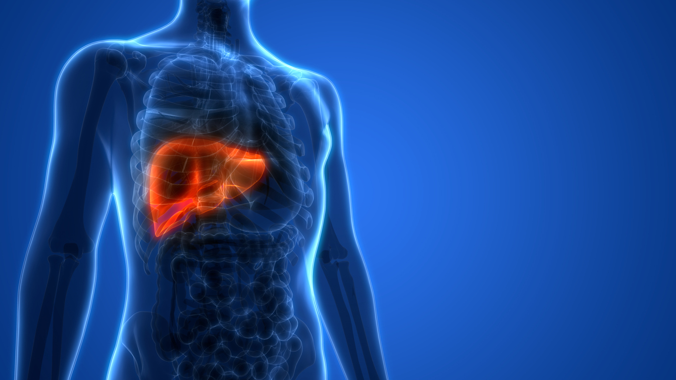 Les inhibiteurs de point de contrôle immunitaire dans le carcinome hépatocellulaire Les inhibiteurs de point de contrôle immunitaire dans le carcinome hépatocellulaire