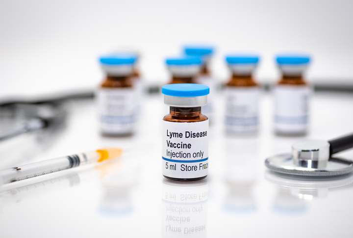 Lyme disease: is the vaccine making a comeback?